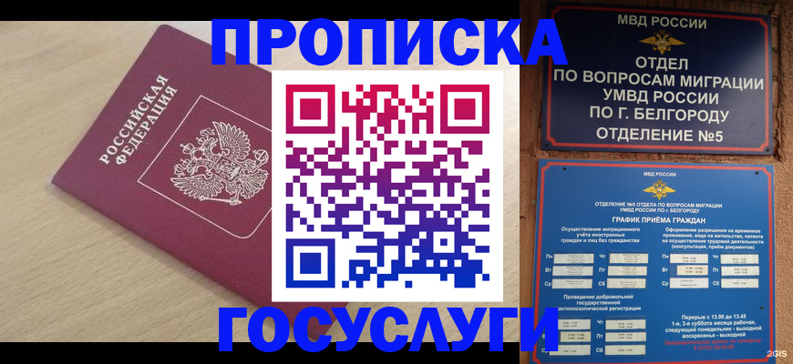 прописка законно в Нытве